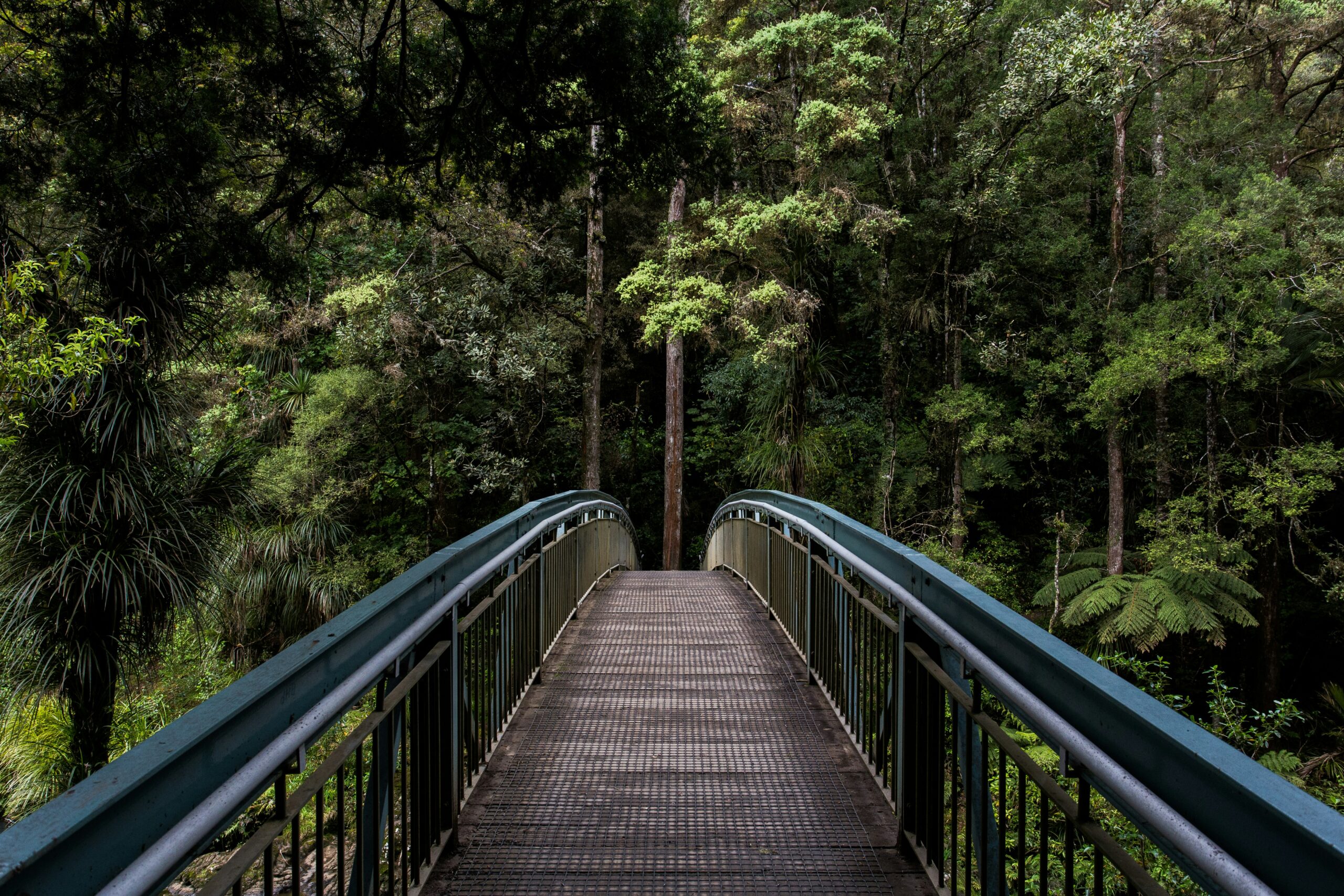 local seo image timberridge solutions