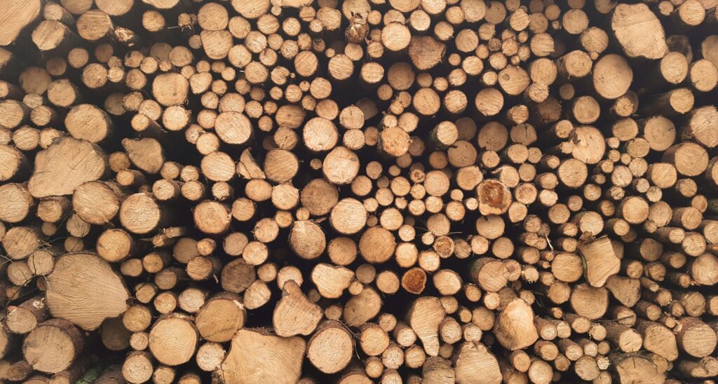 Trees