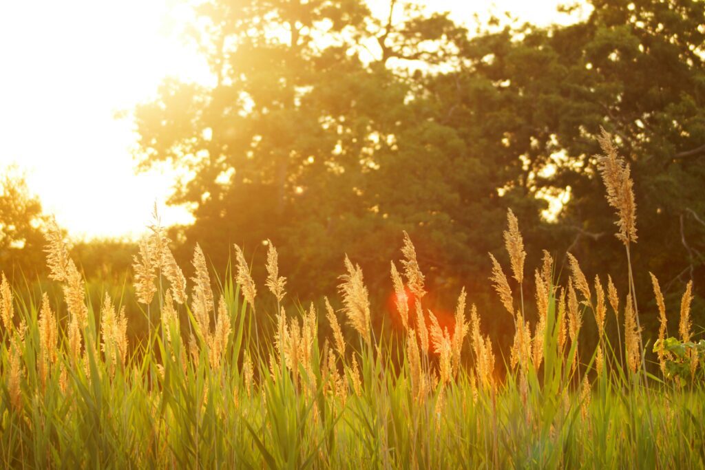 d r u7ldh tgh3s unsplash